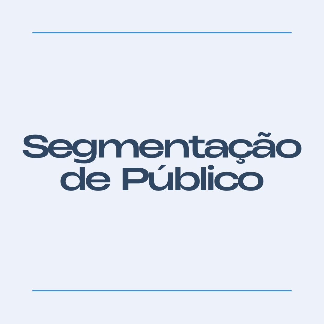 O que é Segmentação de Público